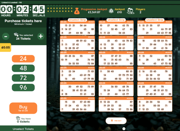 Dragonfish Bingo Ticket Purchase Screen