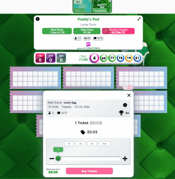 Bingo ticket purchase screen at Paddy Power