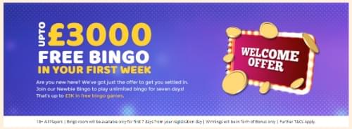 Bingo News Cozy Bingo Sites Dump No Deposit Bonus