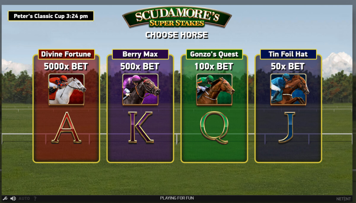 Scudamores Super Stakes - Classic Cup