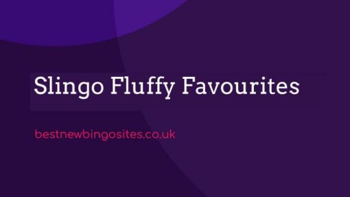 Slingo Fluffy Favourites Has Landed!