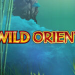 Wild Orient