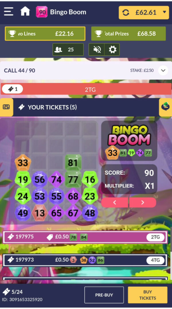 Bingo Boom Screenshot