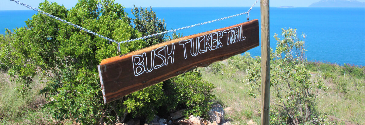 Bush Tucker Sign