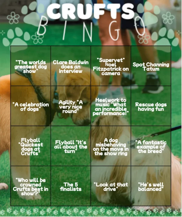 Crufts Bingo