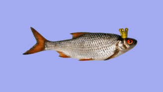 Big Bass World Domination