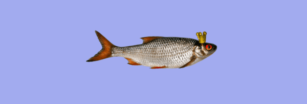 Big Bass World Domination