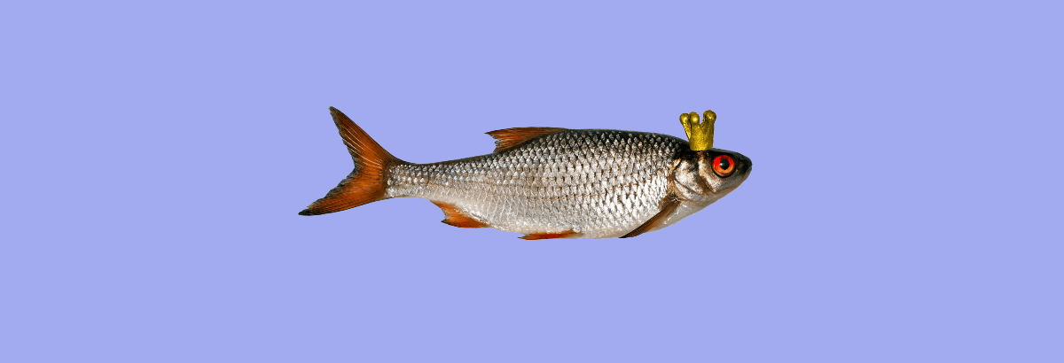 A fish wearing a golden crown