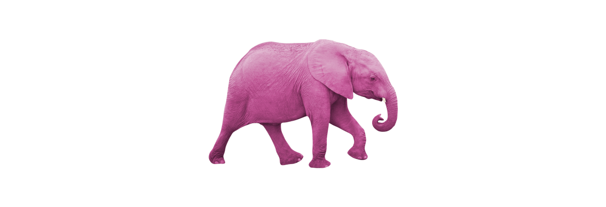 Pink Elephant